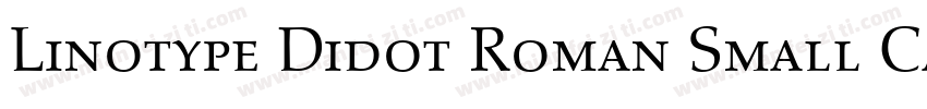 Linotype Didot Roman Small Caps & Oldstyle Figures字体转换